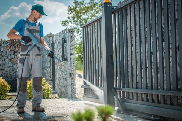 Best Sidewalk and Walkway Cleaning  in Palestine, IL