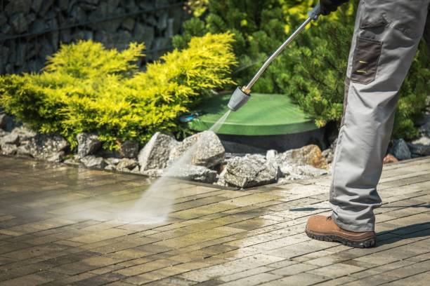Best Boat and Dock Cleaning  in Palestine, IL