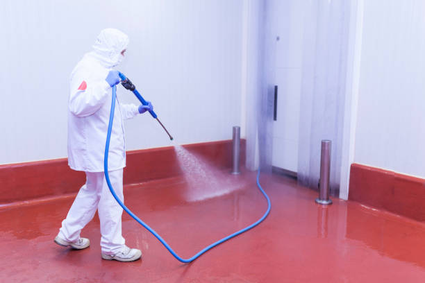 Best Solar Panel Cleaning  in Palestine, IL