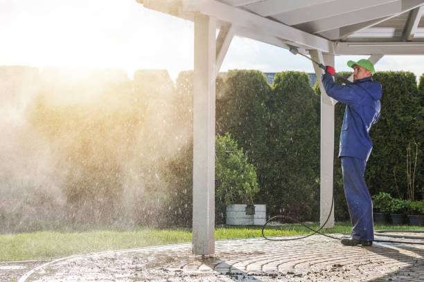 Best Restaurant Pressure Washing  in Palestine, IL