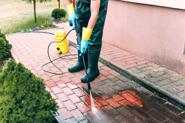 Best Building Exterior Washing  in Palestine, IL