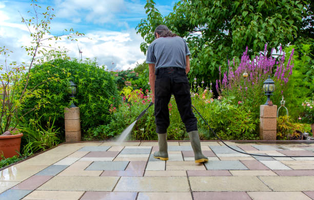 Best Post-Construction Pressure Washing  in Palestine, IL