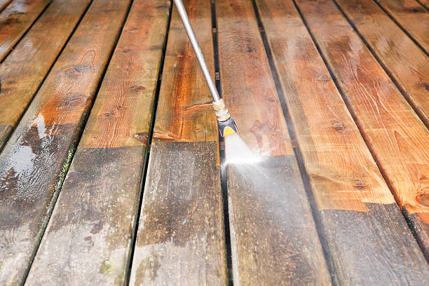 Best Gutter Cleaning  in Palestine, IL
